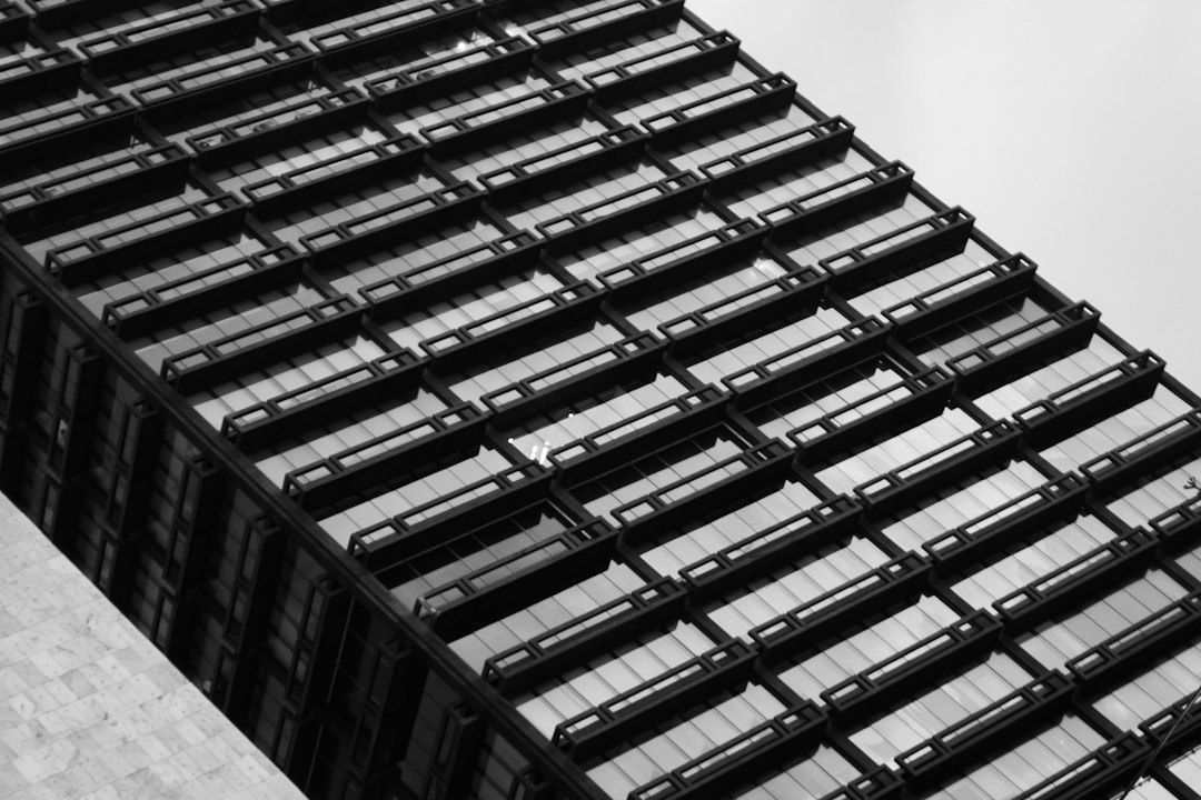 Black-and-white view of a building with repeating rooftop structures